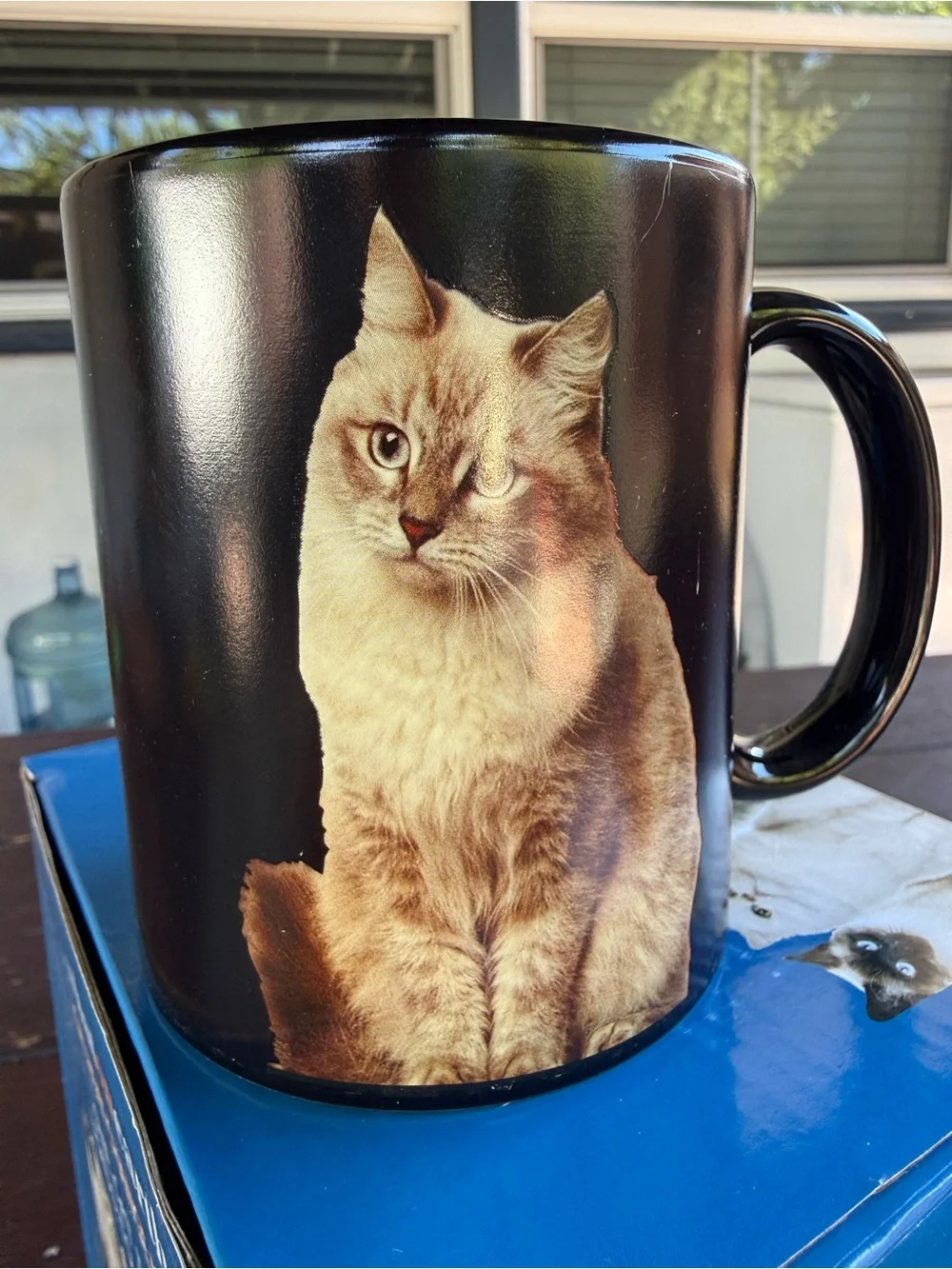 What on Earth Ceramic Cat Heat Change Mug 